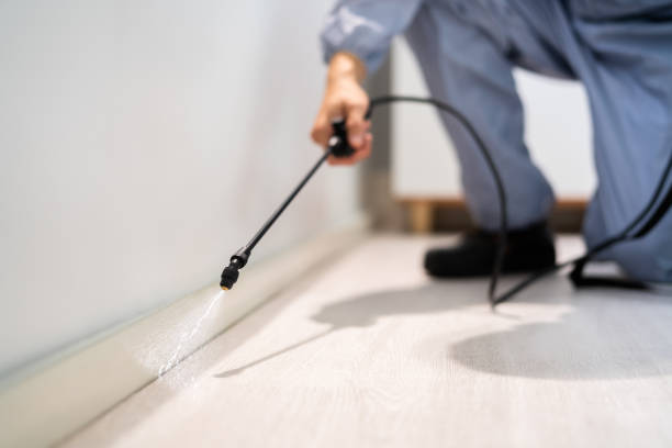 Licensed Mosquito Control service in Greensboro, NC - Show Me Pest Control