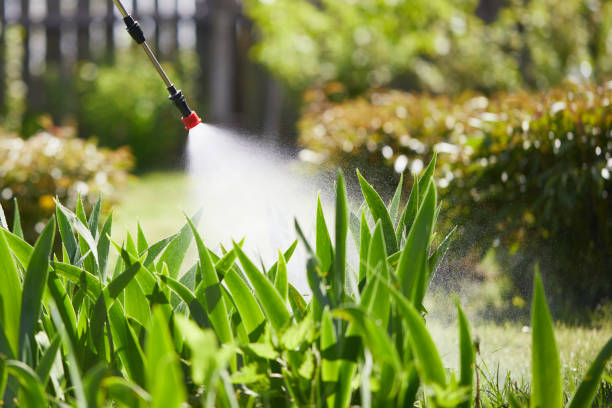 24/7 Emergency Mosquito Control experts in Greensboro, NC