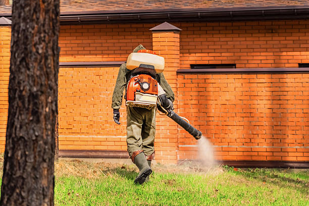 Top rated local Mosquito Control specialists in Greensboro, NC